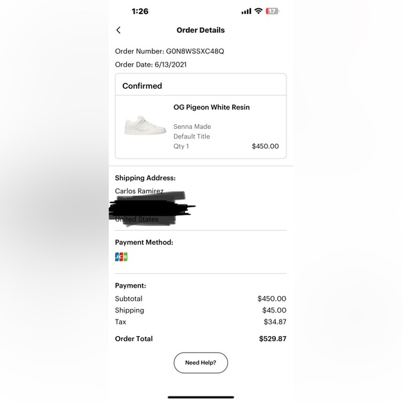 OG Pigeon Staple x Nike Dunk Low Resin Statue - Picture 6 of 6